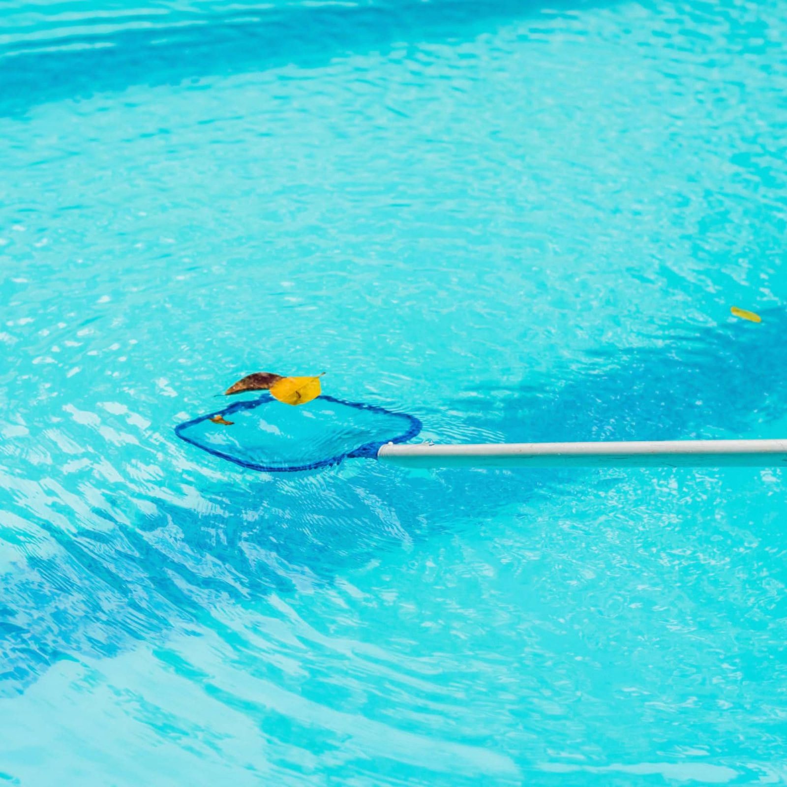 Çıkarılabilir Havuz Yaprak Ağı - Pool Skimmer Net incelemesi ve fiyatı